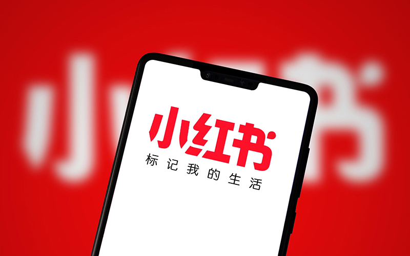 服务内容