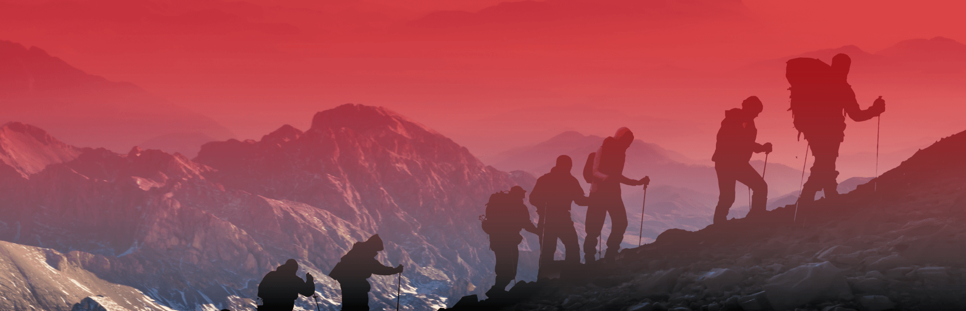 知乎知+皇冠服务商